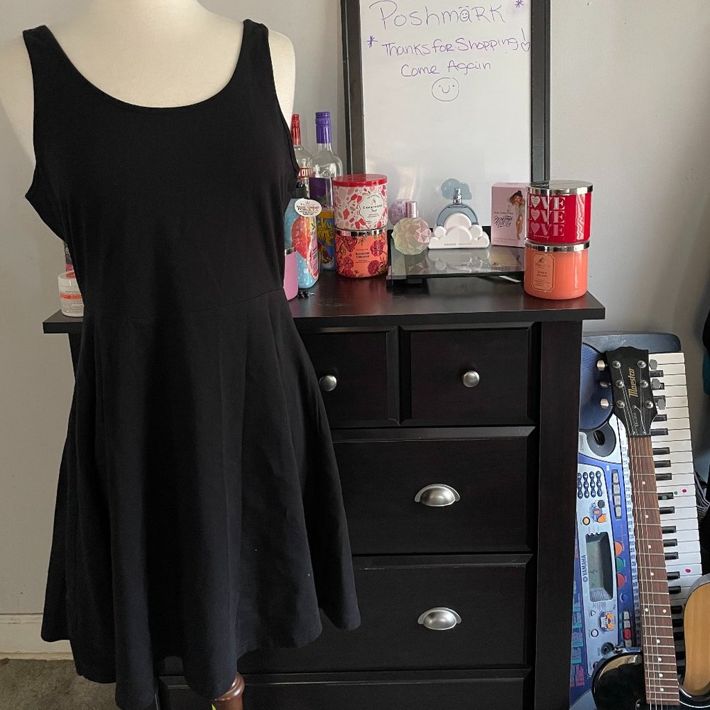 Express Skater Dress